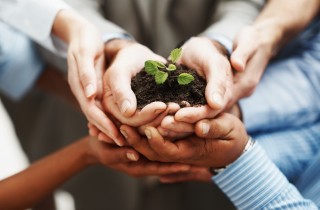 photodune-202925-business-development-hands-holding-seedling-in-a-group-m